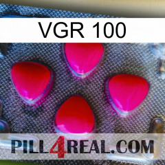 Vgr 100 13